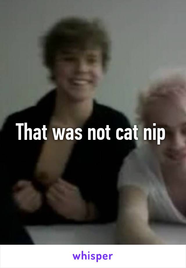 That was not cat nip 