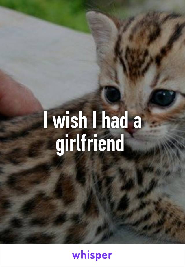 I wish I had a girlfriend 