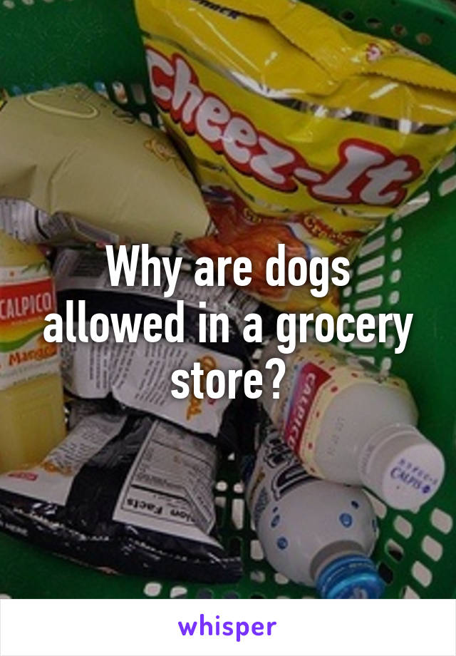 Why are dogs allowed in a grocery store?