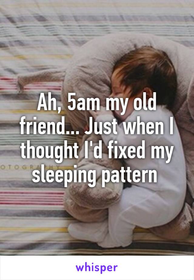 Ah, 5am my old friend... Just when I thought I'd fixed my sleeping pattern 
