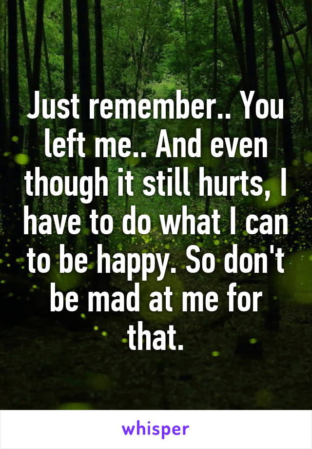 Just remember.. You left me.. And even though it still hurts, I have to do what I can to be happy. So don't be mad at me for that.