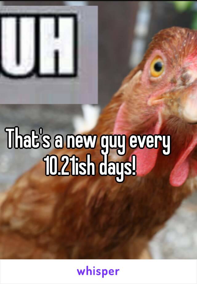 That's a new guy every 10.21ish days!
