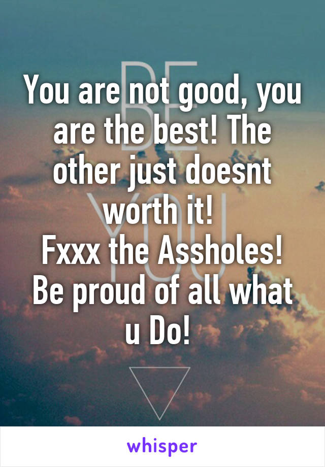 You are not good, you are the best! The other just doesnt worth it! 
Fxxx the Assholes!
Be proud of all what u Do! 
