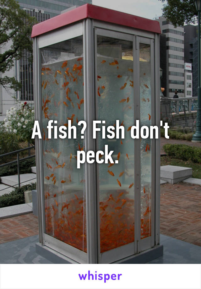 A fish? Fish don't peck. 