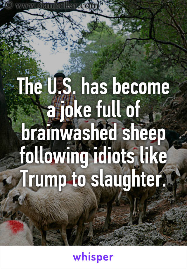 The U.S. has become a joke full of brainwashed sheep following idiots like Trump to slaughter.