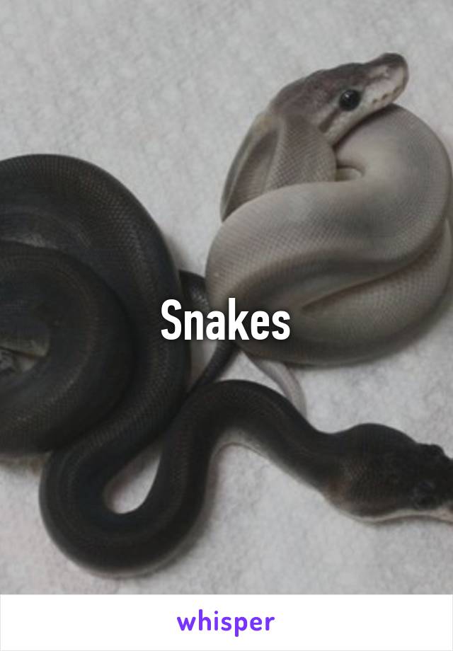 Snakes