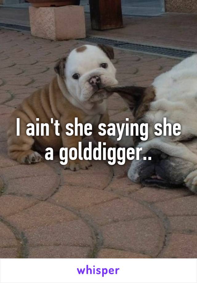 I ain't she saying she a golddigger..