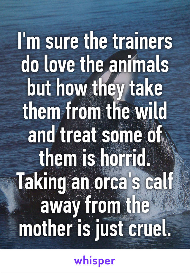 I'm sure the trainers do love the animals but how they take them from the wild and treat some of them is horrid. Taking an orca's calf away from the mother is just cruel.