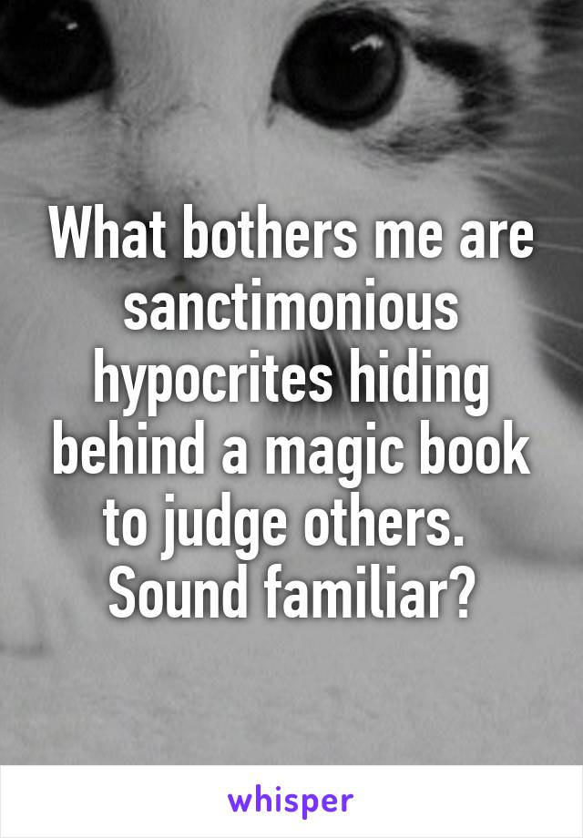 What bothers me are sanctimonious hypocrites hiding behind a magic book to judge others.  Sound familiar?