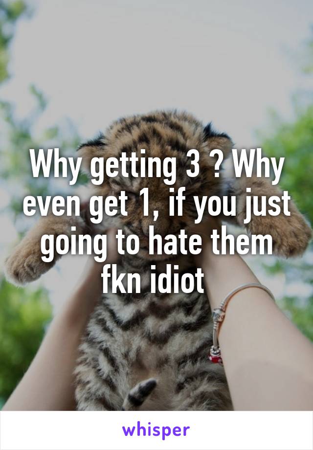 Why getting 3 ? Why even get 1, if you just going to hate them fkn idiot 