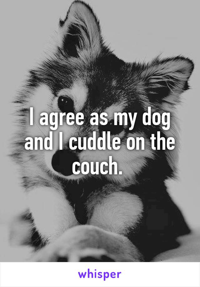 I agree as my dog and I cuddle on the couch. 