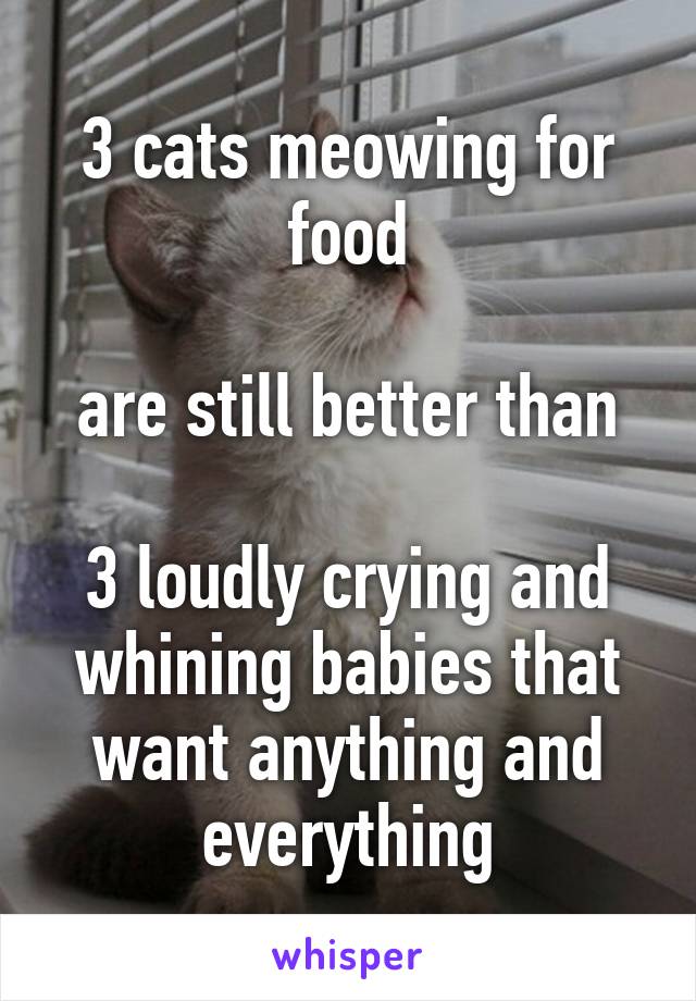 3 cats meowing for food

are still better than

3 loudly crying and whining babies that want anything and everything