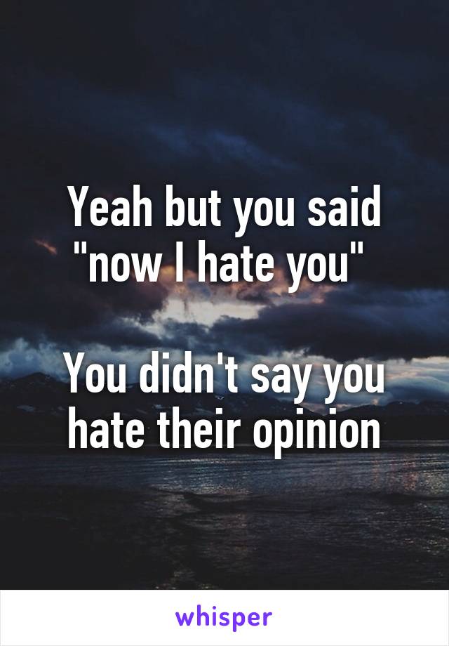 Yeah but you said "now I hate you" 

You didn't say you hate their opinion