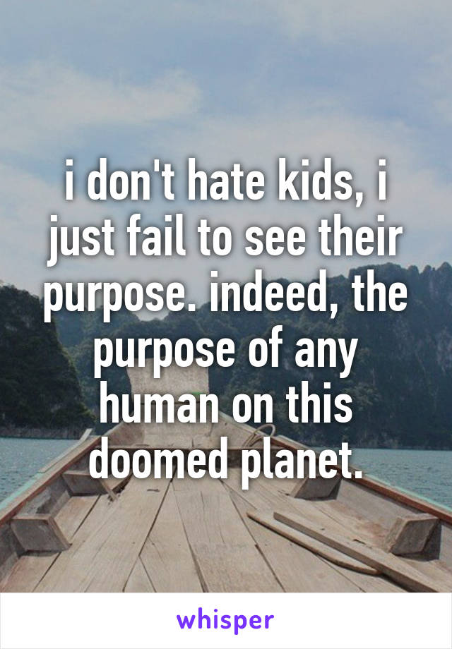 i don't hate kids, i just fail to see their purpose. indeed, the purpose of any human on this doomed planet.