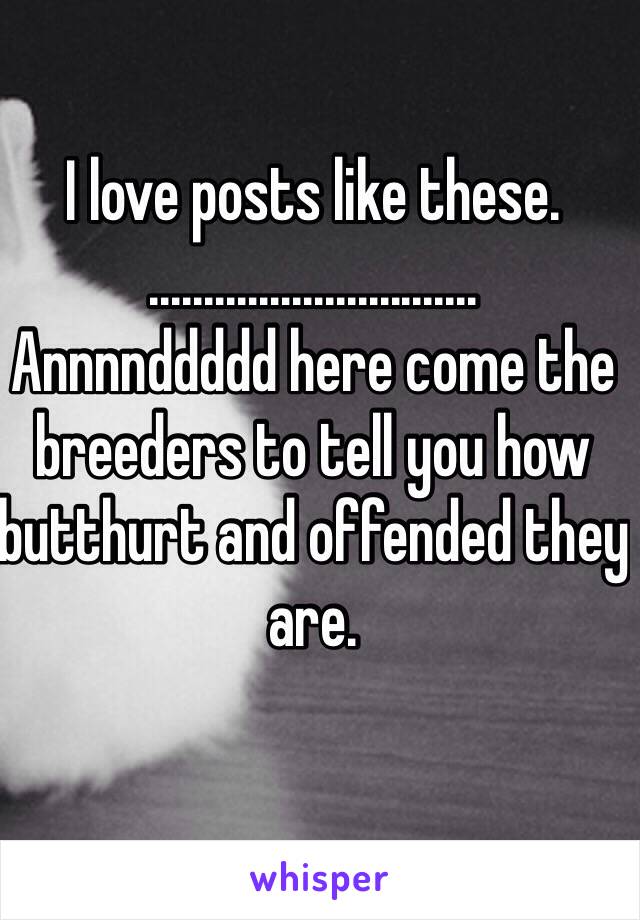 I love posts like these. 
....…………..............
Annnnddddd here come the breeders to tell you how butthurt and offended they are. 