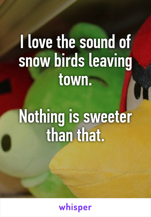 I love the sound of snow birds leaving town.

Nothing is sweeter than that.

