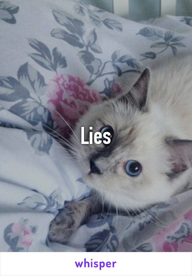 Lies