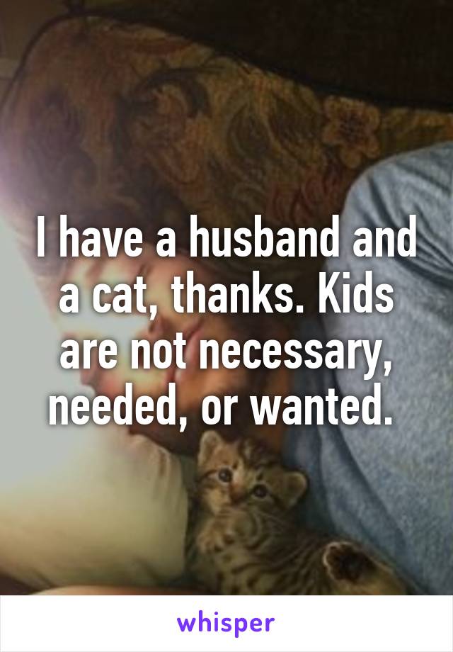 I have a husband and a cat, thanks. Kids are not necessary, needed, or wanted. 