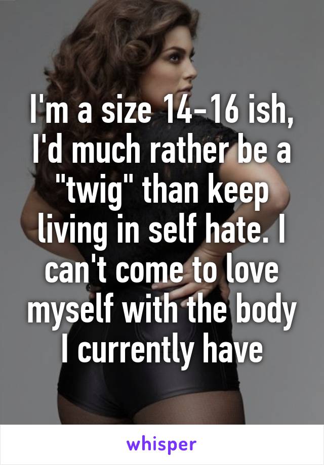 I'm a size 14-16 ish, I'd much rather be a "twig" than keep living in self hate. I can't come to love myself with the body I currently have
