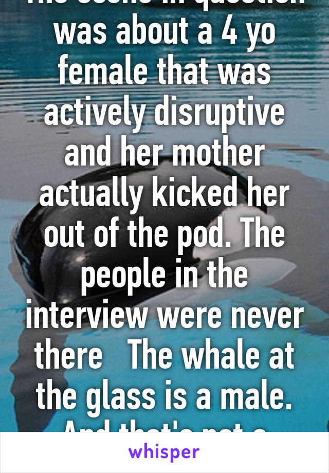 The scene in question was about a 4 yo female that was actively disruptive and her mother actually kicked her out of the pod. The people in the interview were never there   The whale at the glass is a male. And that's not a whale call 