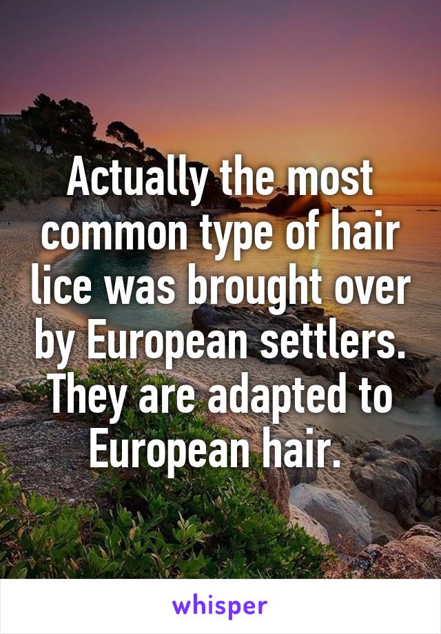 Actually the most common type of hair lice was brought over by European settlers. They are adapted to European hair. 