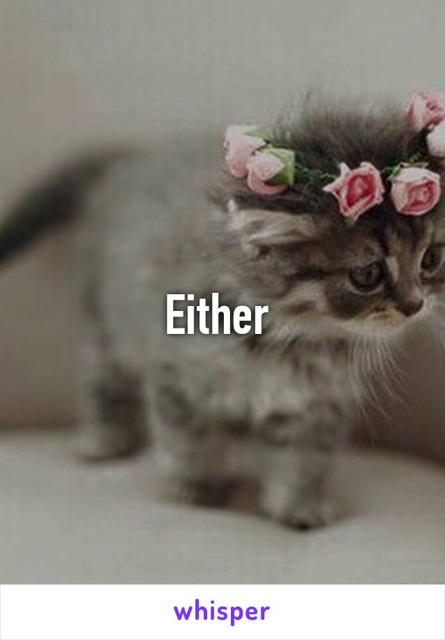Either 