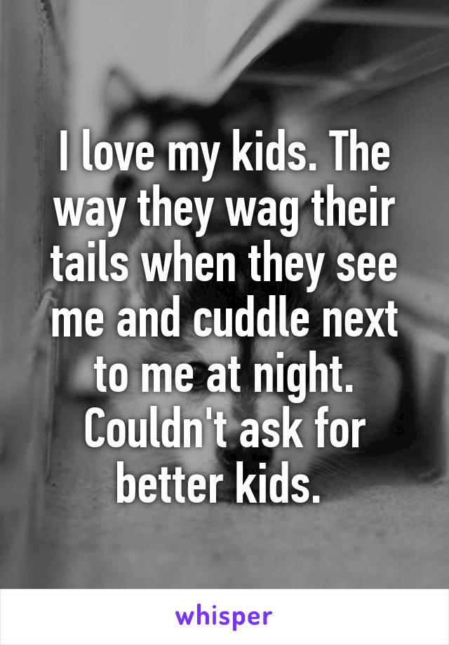 I love my kids. The way they wag their tails when they see me and cuddle next to me at night. Couldn't ask for better kids. 