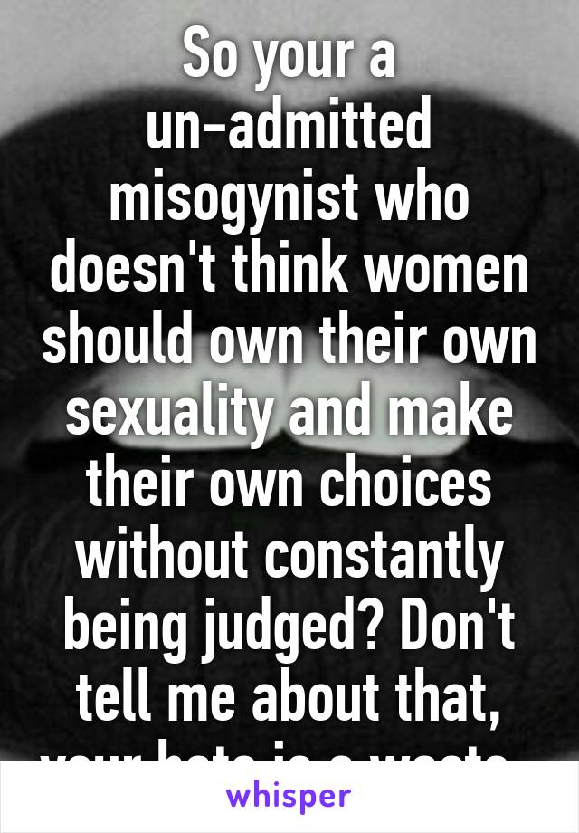 So your a un-admitted misogynist who doesn't think women should own their own sexuality and make their own choices without constantly being judged? Don't tell me about that, your hate is a waste. 
