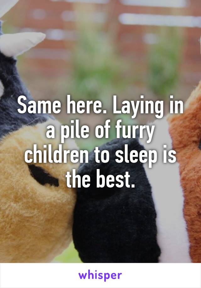 Same here. Laying in a pile of furry children to sleep is the best.