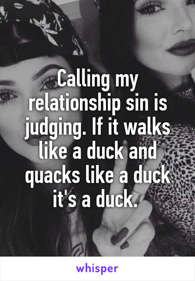 Calling my relationship sin is judging. If it walks like a duck and quacks like a duck it's a duck. 