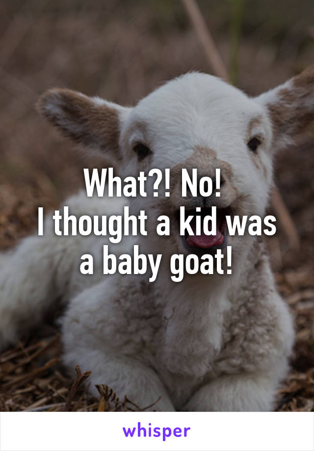 What?! No! 
I thought a kid was a baby goat!