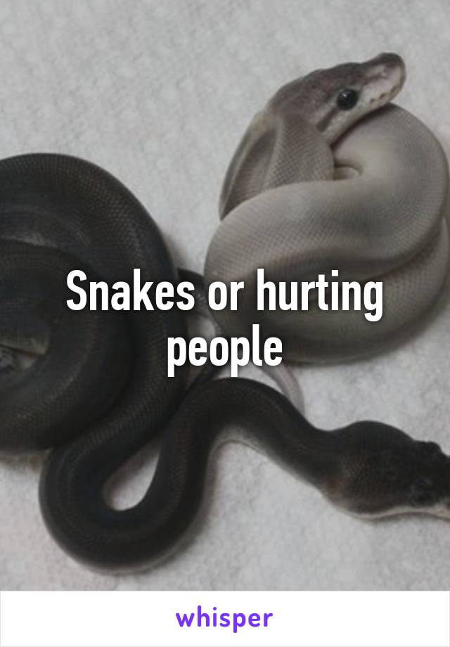 Snakes or hurting people