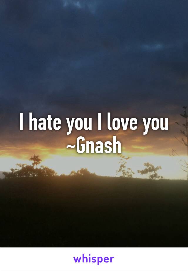 I hate you I love you ~Gnash
