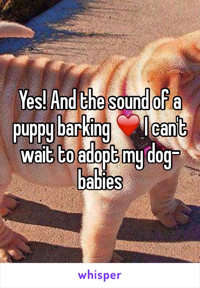Yes! And the sound of a puppy barking ❤️ I can't wait to adopt my dog-babies 