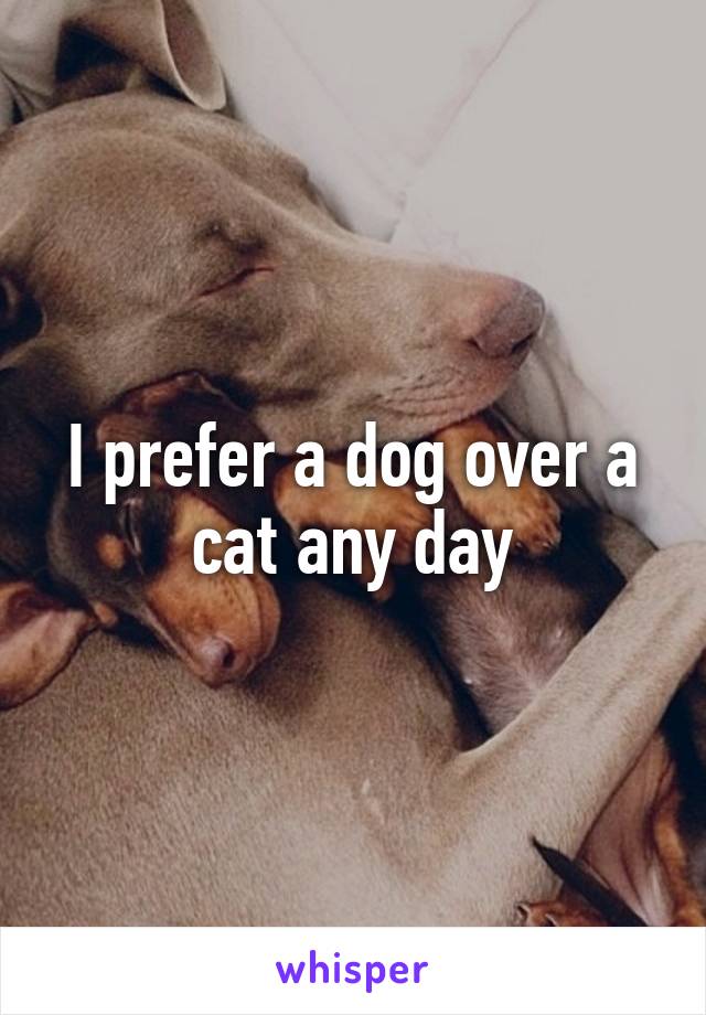 I prefer a dog over a cat any day
