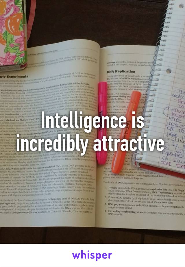 Intelligence is incredibly attractive 
