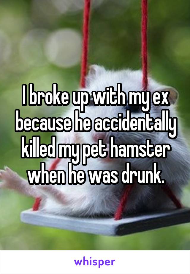 I broke up with my ex because he accidentally killed my pet hamster when he was drunk.