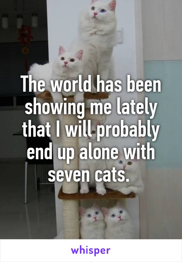 The world has been showing me lately that I will probably end up alone with seven cats. 