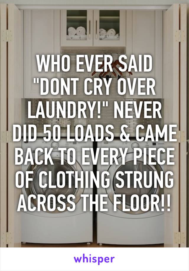 WHO EVER SAID "DONT CRY OVER LAUNDRY!" NEVER DID 50 LOADS & CAME BACK TO EVERY PIECE OF CLOTHING STRUNG ACROSS THE FLOOR!!