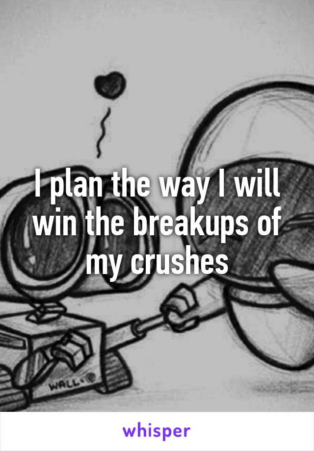 I plan the way I will win the breakups of my crushes