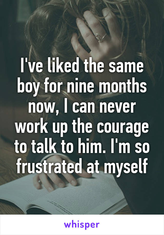 I've liked the same boy for nine months now, I can never work up the courage to talk to him. I'm so frustrated at myself
