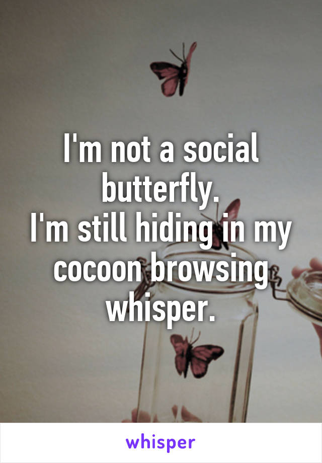 I'm not a social butterfly.
I'm still hiding in my cocoon browsing whisper.