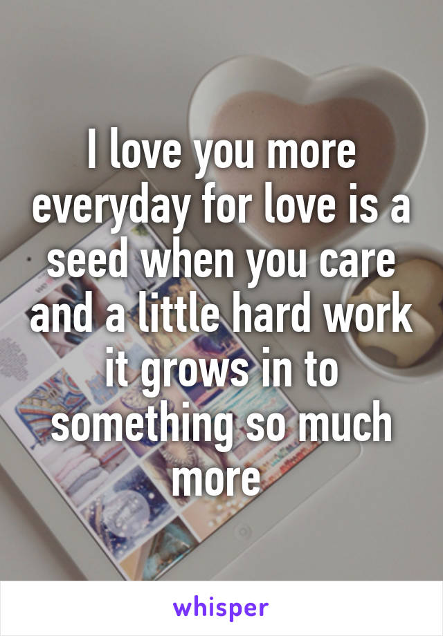 I love you more everyday for love is a seed when you care and a little hard work it grows in to something so much more 