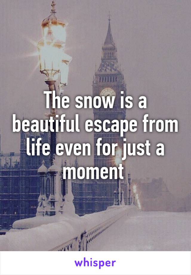 The snow is a beautiful escape from life even for just a moment 
