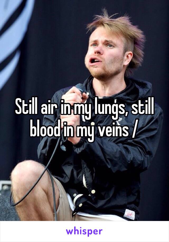 Still air in my lungs, still blood in my veins /