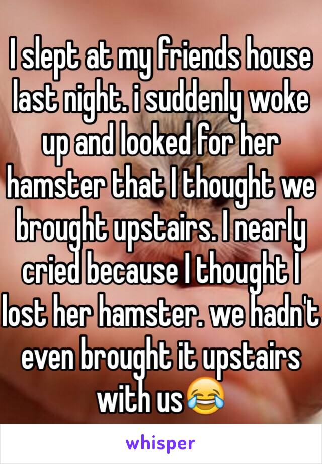 I slept at my friends house last night. i suddenly woke up and looked for her hamster that I thought we brought upstairs. I nearly cried because I thought I lost her hamster. we hadn't even brought it upstairs with us😂