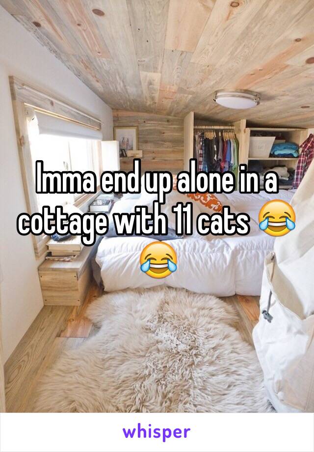 Imma end up alone in a cottage with 11 cats 😂😂