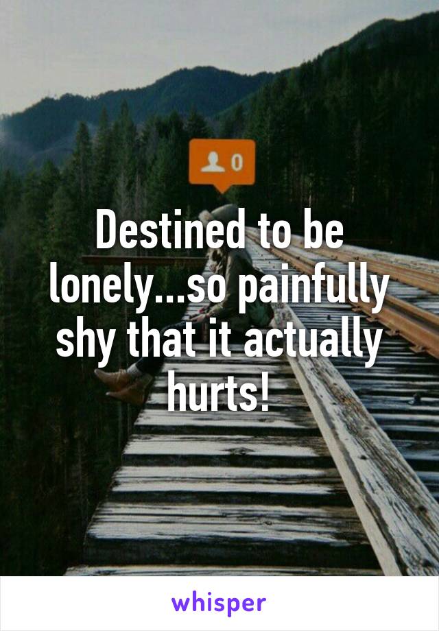 Destined to be lonely...so painfully shy that it actually hurts!