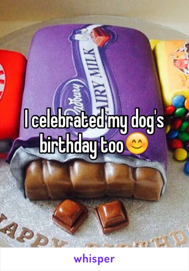 I celebrated my dog's birthday too😊
