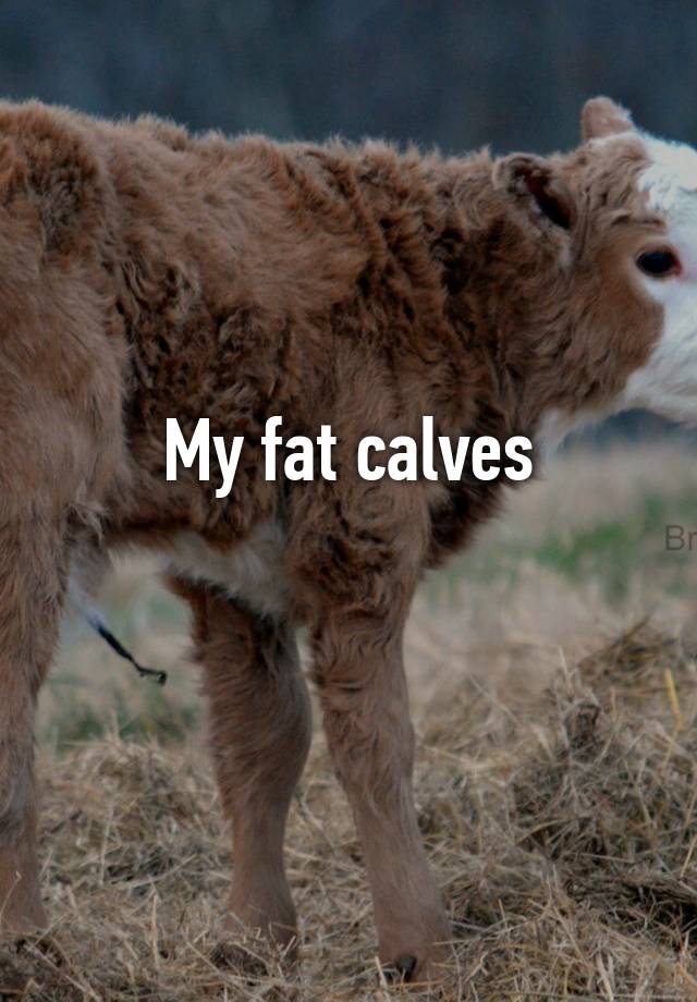 My fat calves